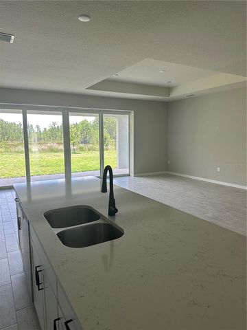 17663 SAW PALMETTO AVENUE, Clermont, FL 34714