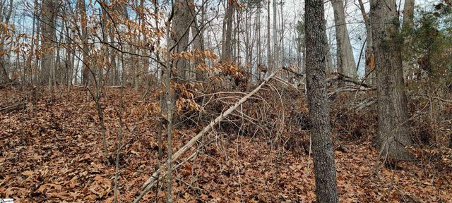 314 E Richfield Drive, Westminster, SC 29693