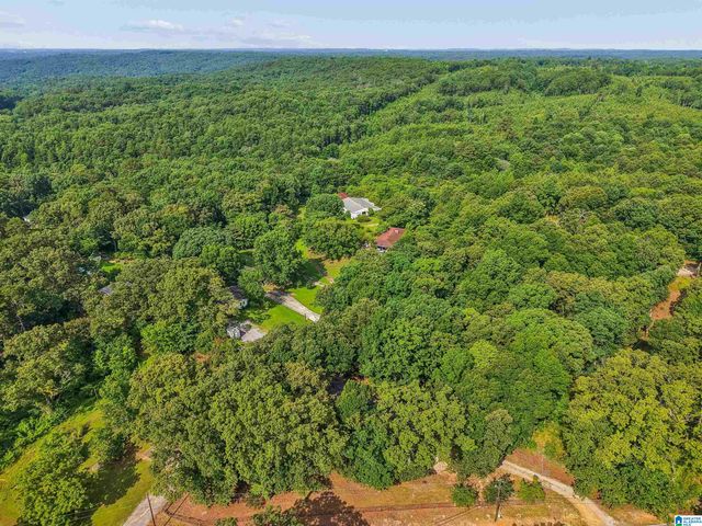 6086 CASTLE HEIGHTS ROAD, Morris, AL 35116