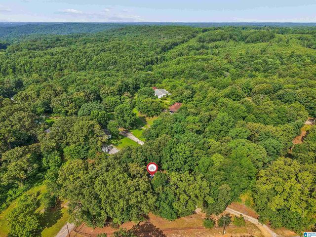 6086 CASTLE HEIGHTS ROAD, Morris, AL 35116
