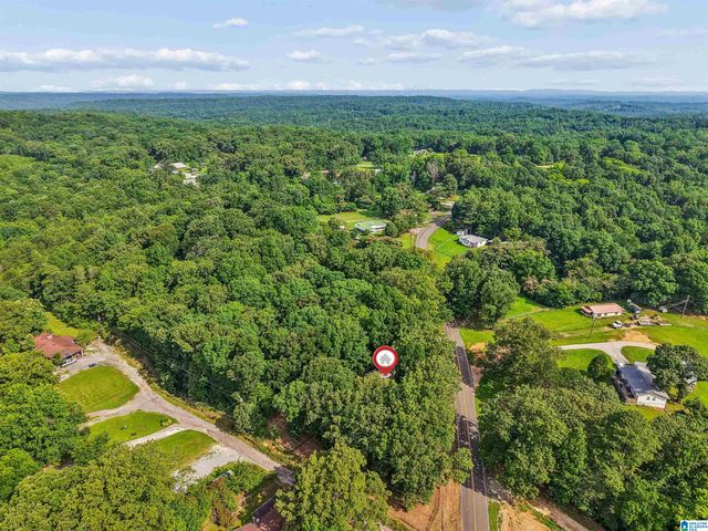 6086 CASTLE HEIGHTS ROAD, Morris, AL 35116