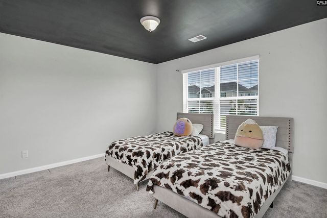 1916 Cold Rocks Way, Lexington, SC 29073