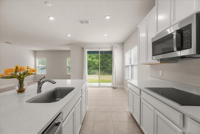 357 SIESTA VISTA COURT, Davenport, FL 33896