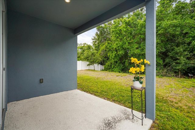 357 SIESTA VISTA COURT, Davenport, FL 33896