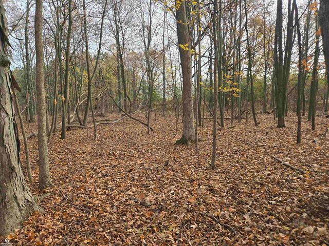 6151 Duce Road, Avoca, MI 48006