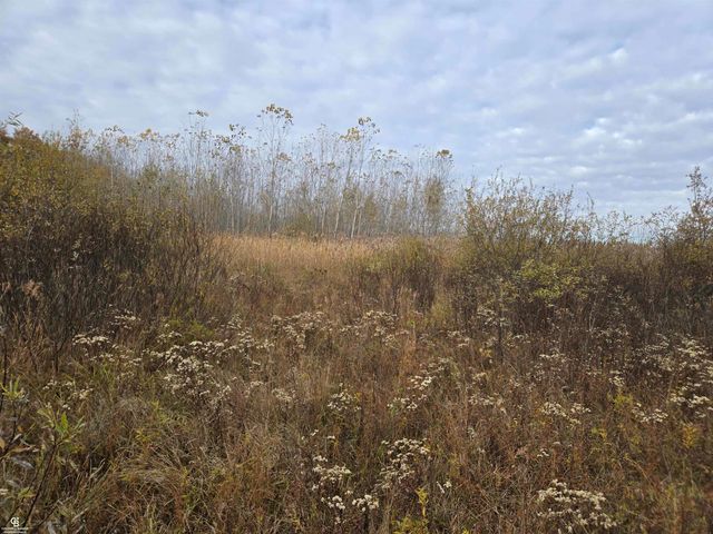 6151 Duce Road, Avoca, MI 48006