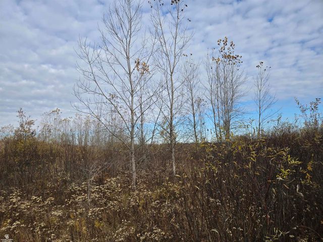 6151 Duce Road, Avoca, MI 48006