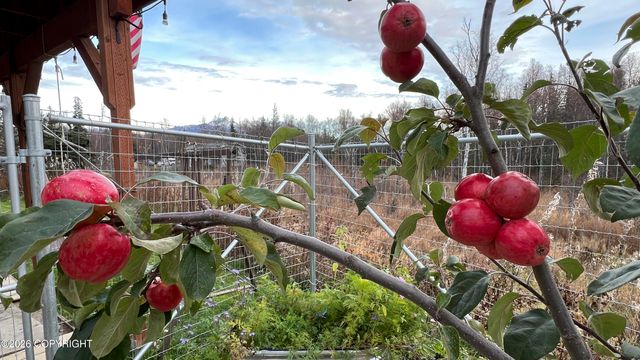 10700 E Yentna Drive, Palmer, AK 99645