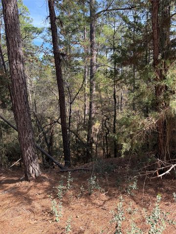 Lot 266 Wainee DR, Bastrop, TX 78602