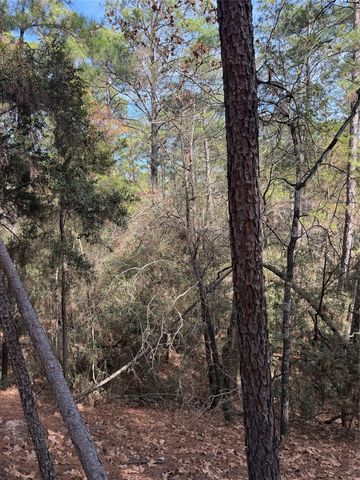 Lot 266 Wainee DR, Bastrop, TX 78602