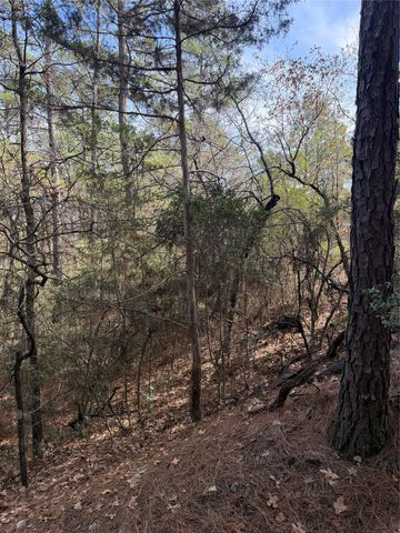 Lot 266 Wainee DR, Bastrop, TX 78602