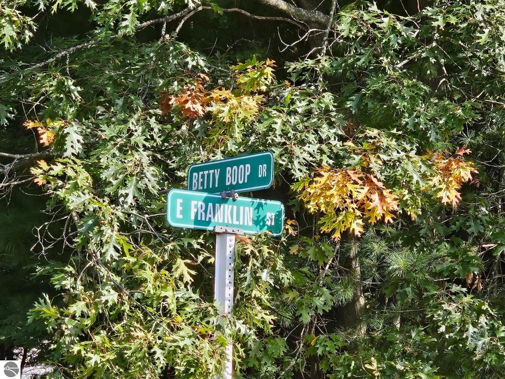 Image 2 of property listing at 615 E Franklin Street, East Tawas, MI 48730