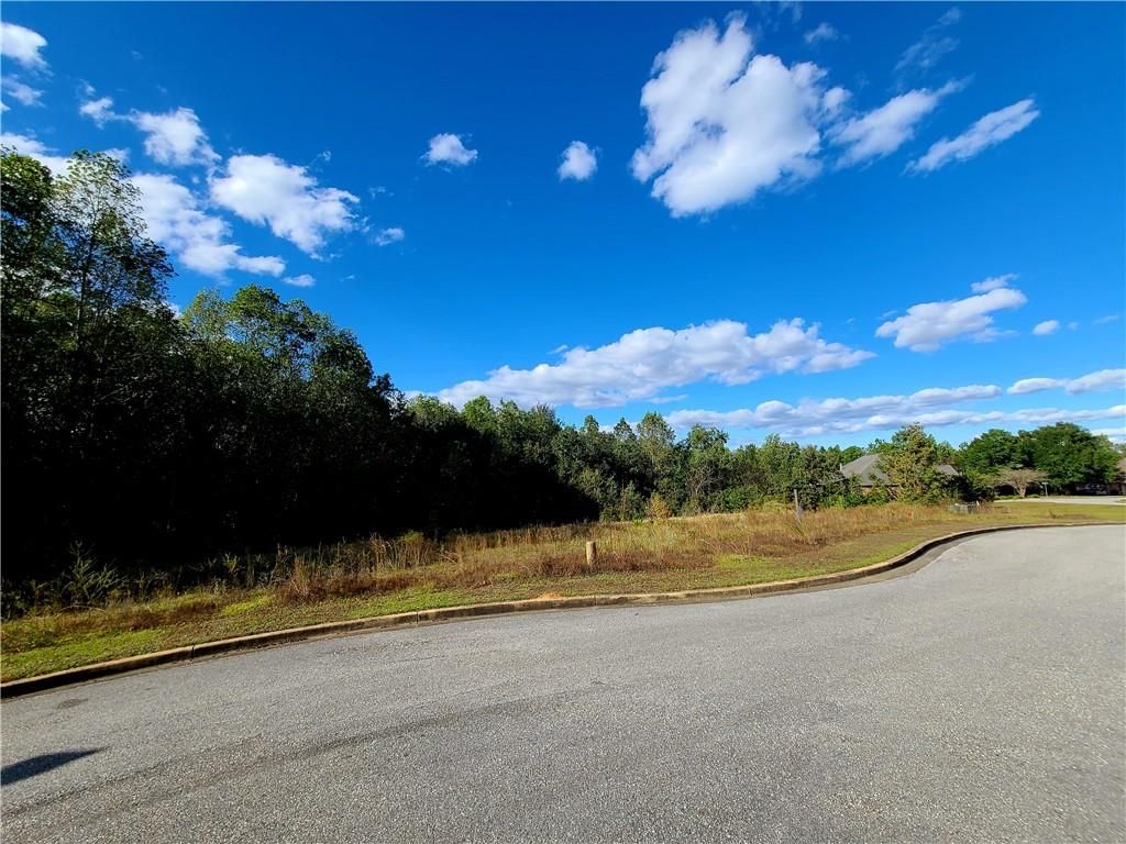 0 Wood Duck Court, Mobile, AL 36695 — photo 4