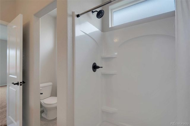 1867 Abundance Drive, Windsor, CO 80550