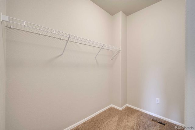 1867 Abundance Drive, Windsor, CO 80550