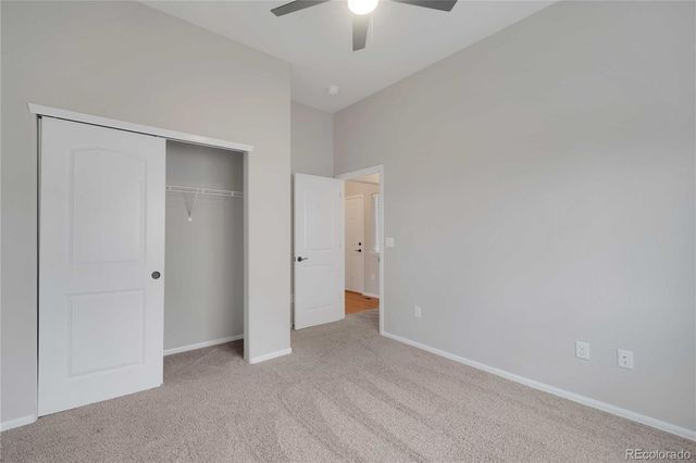 1867 Abundance Drive, Windsor, CO 80550