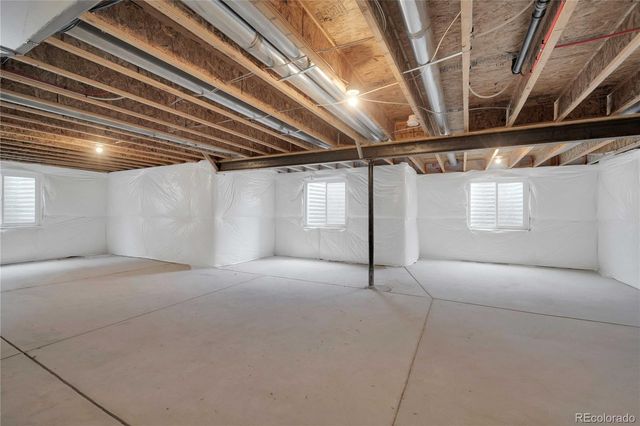 1867 Abundance Drive, Windsor, CO 80550