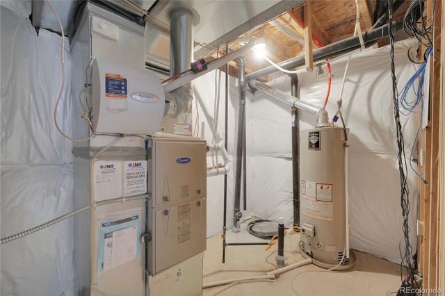 1867 Abundance Drive, Windsor, CO 80550