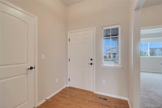 1867 Abundance Drive, Windsor, CO 80550