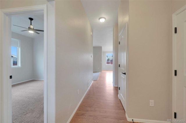 1867 Abundance Drive, Windsor, CO 80550