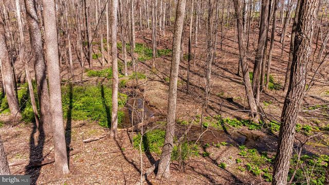 901 CHESTNUT RIDGE DR, Lutherville Timonium, MD 21093