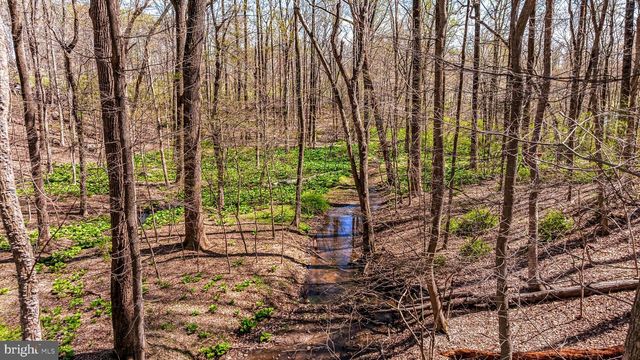 901 CHESTNUT RIDGE DR, Lutherville Timonium, MD 21093