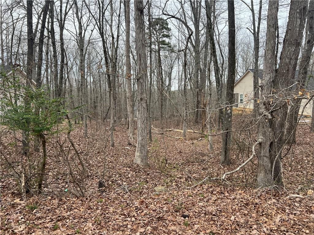 3254 Greenhill Court, Villa Rica, GA 30180