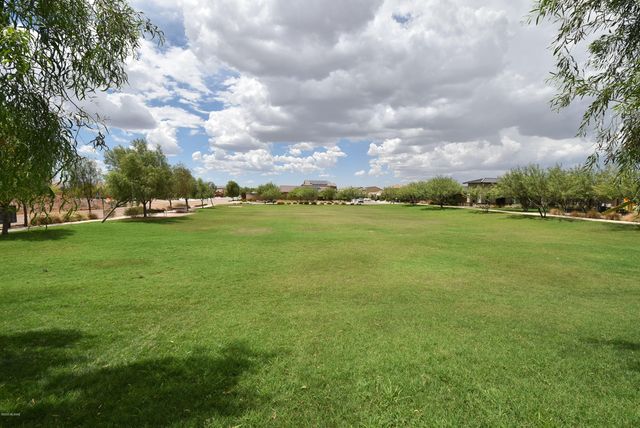 6658 E Via Pampas Morenas, Tucson, AZ 85756