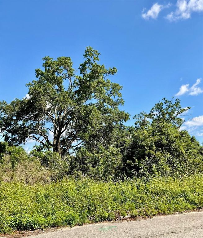 Image 1 of property listing at PAIGE AVENUE, New Smyrna Beach, FL 32168