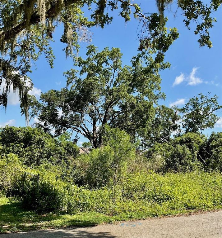 Image 2 of property listing at PAIGE AVENUE, New Smyrna Beach, FL 32168