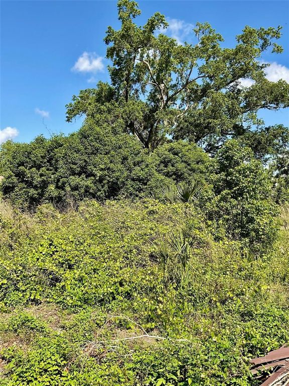 Image 3 of property listing at PAIGE AVENUE, New Smyrna Beach, FL 32168