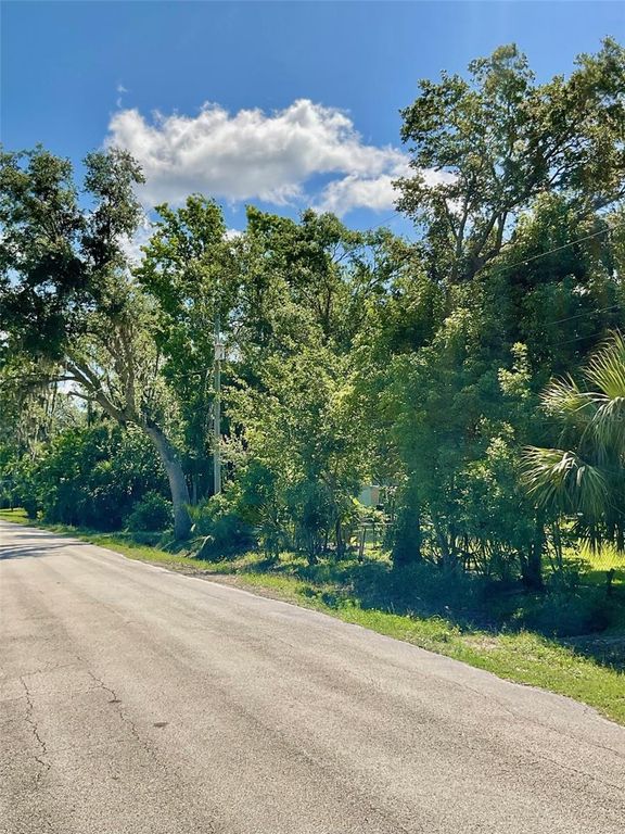 Image 6 of property listing at PAIGE AVENUE, New Smyrna Beach, FL 32168