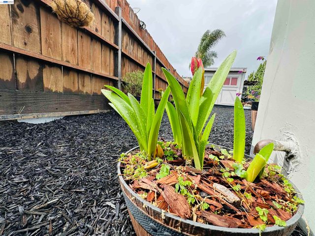 1249 88TH AVE, Oakland, CA 94621