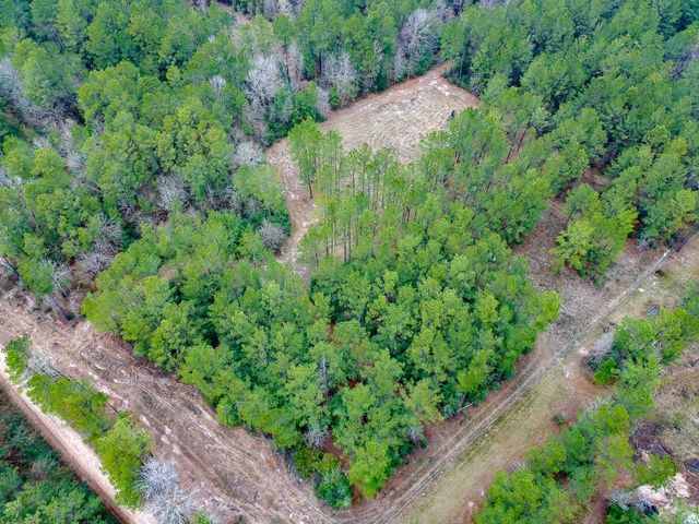 209 Joskey Dykes Road, Zavalla, TX 75980