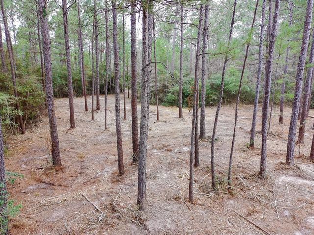 209 Joskey Dykes Road, Zavalla, TX 75980