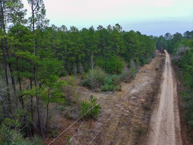 209 Joskey Dykes Road, Zavalla, TX 75980