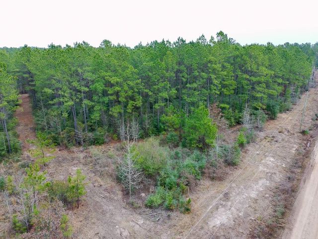 209 Joskey Dykes Road, Zavalla, TX 75980