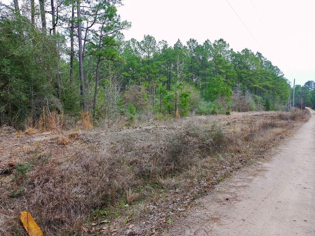 209 Joskey Dykes Road, Zavalla, TX 75980