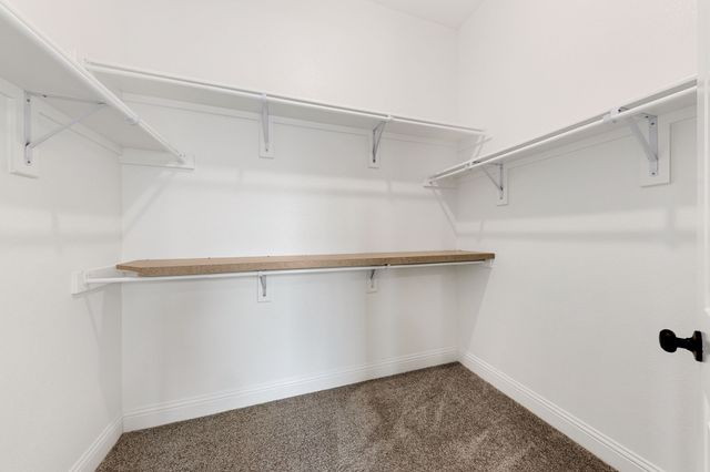 331 Buckthorn Drive, Royse City, TX 75189