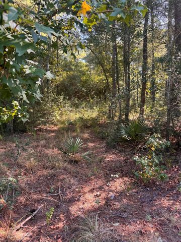 3B-1-61,62 Fire Sky Rd,, Huntsville, TX 77340