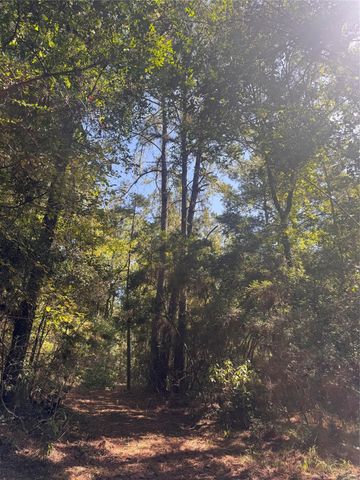 3B-1-61,62 Fire Sky Rd,, Huntsville, TX 77340