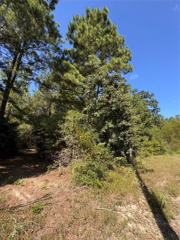 3B-1-61,62 Fire Sky Rd,, Huntsville, TX 77340
