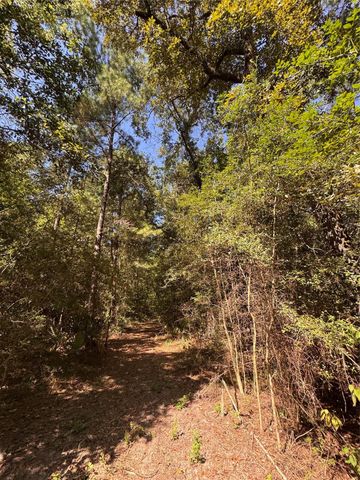 3B-1-61,62 Fire Sky Rd,, Huntsville, TX 77340