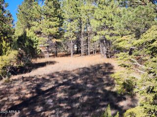 TBD Cedar Bark Trail Parcel #4 -- 4, Overgaard, AZ 85933