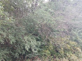 Ranch Trail Road, Eufaula, OK 74432