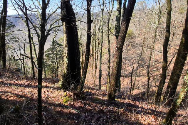 9 Lodge Point Road, South Pittsburg, TN 37380