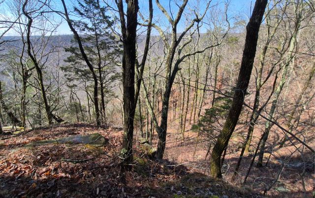 9 Lodge Point Road, South Pittsburg, TN 37380
