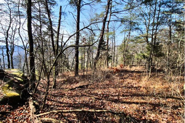 9 Lodge Point Road, South Pittsburg, TN 37380