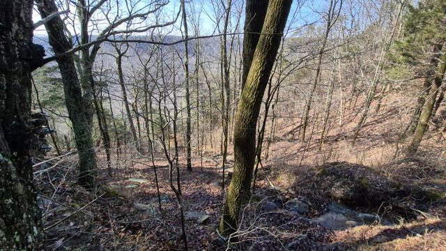 9 Lodge Point Road, South Pittsburg, TN 37380