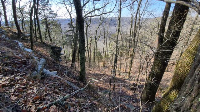 9 Lodge Point Road, South Pittsburg, TN 37380